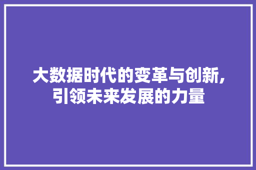 大数据时代的变革与创新,引领未来发展的力量 GoogleSEO