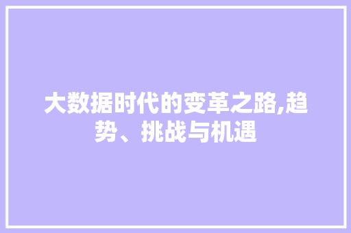 大数据时代的变革之路,趋势、挑战与机遇 百度SEO