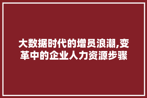 大数据时代的增员浪潮,变革中的企业人力资源步骤 必应SEO