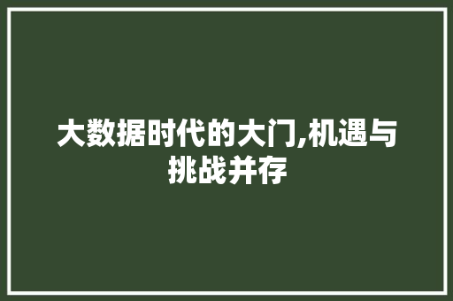 大数据时代的大门,机遇与挑战并存 神马SEO