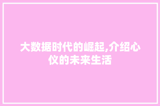大数据时代的崛起,介绍心仪的未来生活 百度SEO