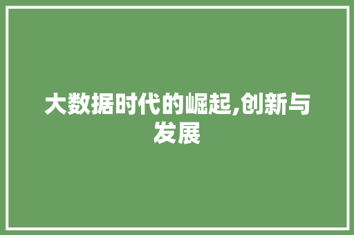 大数据时代的崛起,创新与发展 必应SEO