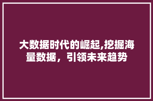 大数据时代的崛起,挖掘海量数据，引领未来趋势 搜狗SEO