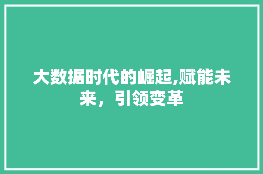 大数据时代的崛起,赋能未来，引领变革 必应SEO