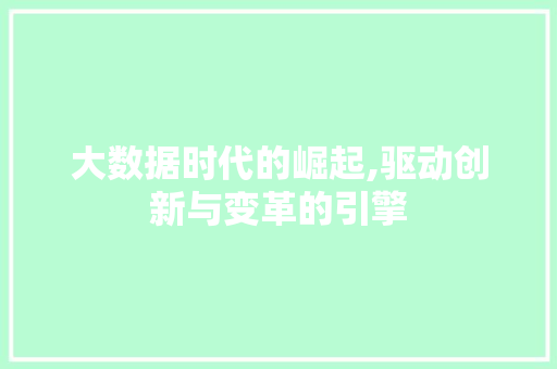 大数据时代的崛起,驱动创新与变革的引擎 百度SEO
