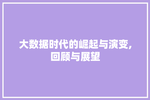 大数据时代的崛起与演变,回顾与展望 GoogleSEO