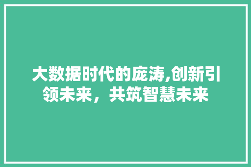 大数据时代的庞涛,创新引领未来，共筑智慧未来