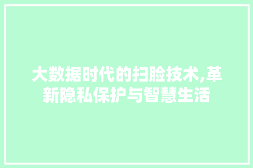 大数据时代的扫脸技术,革新隐私保护与智慧生活 百度SEO