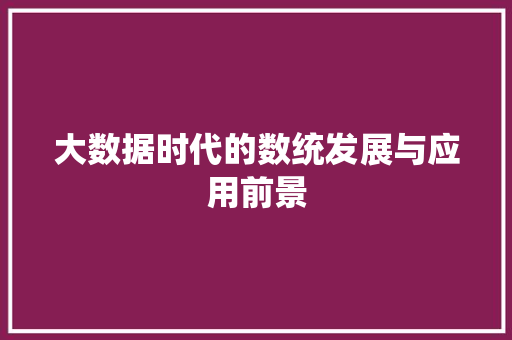 大数据时代的数统发展与应用前景