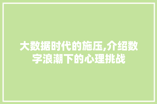 大数据时代的施压,介绍数字浪潮下的心理挑战 神马SEO
