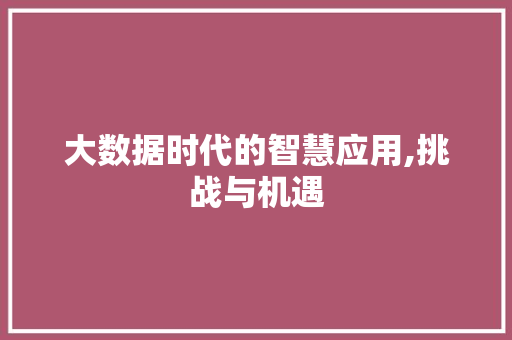 大数据时代的智慧应用,挑战与机遇