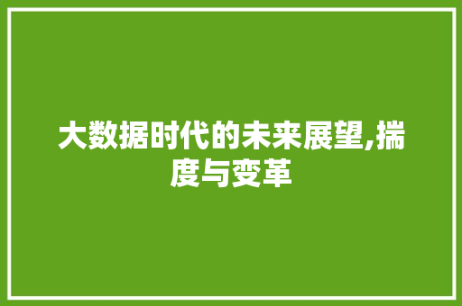 大数据时代的未来展望,揣度与变革 必应SEO