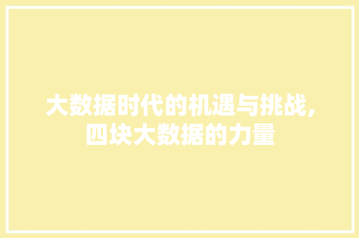 大数据时代的机遇与挑战,四块大数据的力量 必应SEO