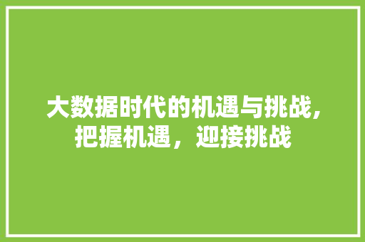 大数据时代的机遇与挑战,把握机遇，迎接挑战