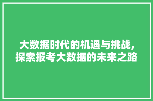 大数据时代的机遇与挑战,探索报考大数据的未来之路 百度SEO