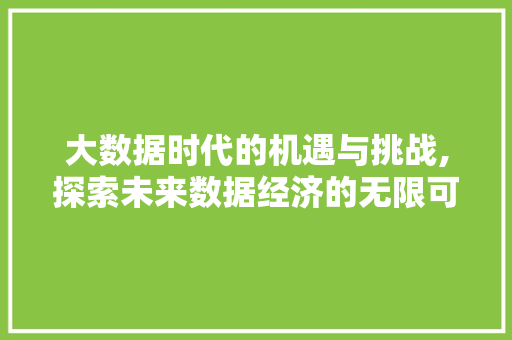 大数据时代的机遇与挑战,探索未来数据经济的无限可能 百度SEO