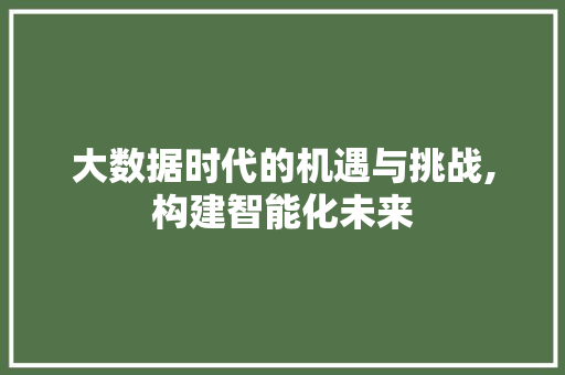 大数据时代的机遇与挑战,构建智能化未来 必应SEO