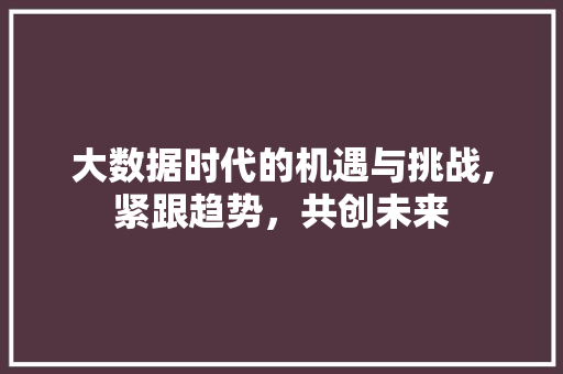大数据时代的机遇与挑战,紧跟趋势，共创未来 百度SEO