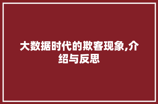 大数据时代的欺客现象,介绍与反思 必应SEO