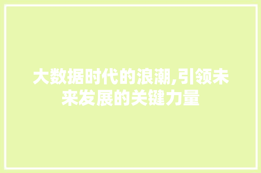 大数据时代的浪潮,引领未来发展的关键力量 神马SEO