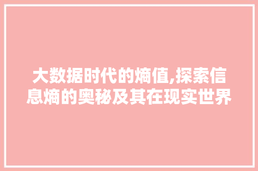 大数据时代的熵值,探索信息熵的奥秘及其在现实世界中的应用 必应SEO