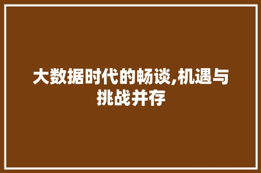大数据时代的畅谈,机遇与挑战并存 百度SEO