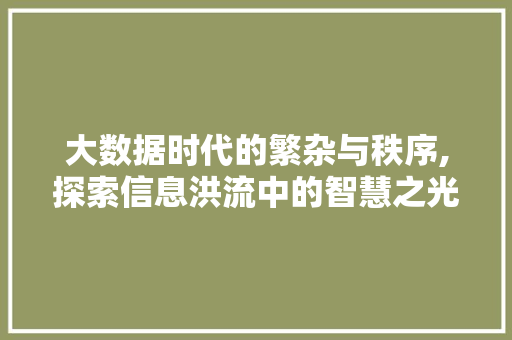 大数据时代的繁杂与秩序,探索信息洪流中的智慧之光