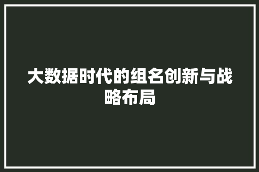 大数据时代的组名创新与战略布局