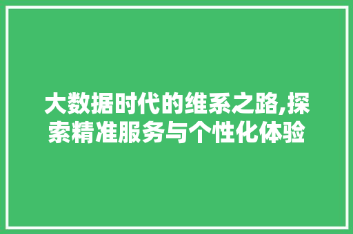 大数据时代的维系之路,探索精准服务与个性化体验