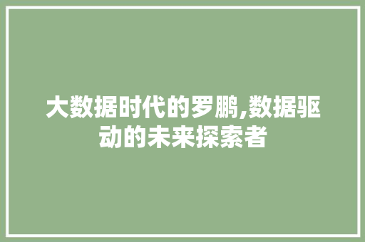 大数据时代的罗鹏,数据驱动的未来探索者