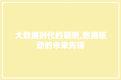 大数据时代的胡刚,数据驱动的未来先锋