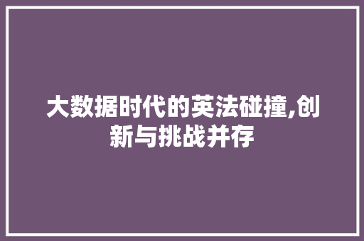 大数据时代的英法碰撞,创新与挑战并存