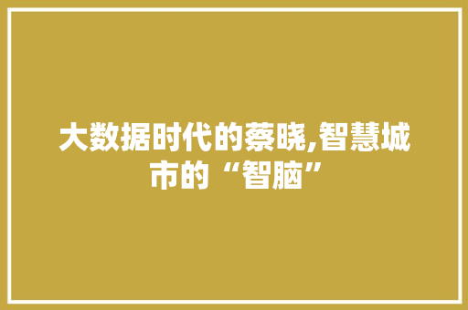 大数据时代的蔡晓,智慧城市的“智脑”