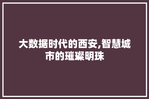 大数据时代的西安,智慧城市的璀璨明珠