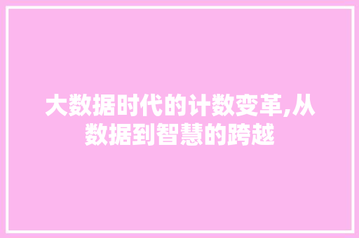 大数据时代的计数变革,从数据到智慧的跨越