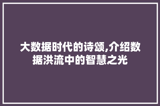 大数据时代的诗颂,介绍数据洪流中的智慧之光