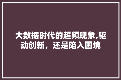 大数据时代的超频现象,驱动创新，还是陷入困境 必应SEO