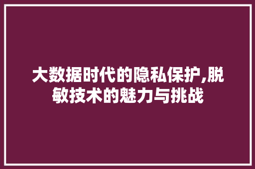 大数据时代的隐私保护,脱敏技术的魅力与挑战