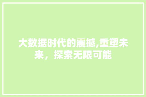 大数据时代的震撼,重塑未来，探索无限可能