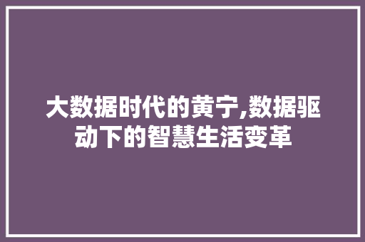 大数据时代的黄宁,数据驱动下的智慧生活变革 搜狗SEO