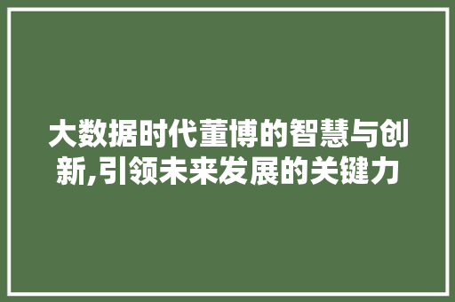 大数据时代董博的智慧与创新,引领未来发展的关键力量 神马SEO