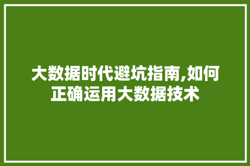 大数据时代避坑指南,如何正确运用大数据技术 神马SEO