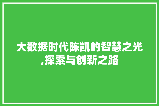 大数据时代陈凯的智慧之光,探索与创新之路 搜狗SEO