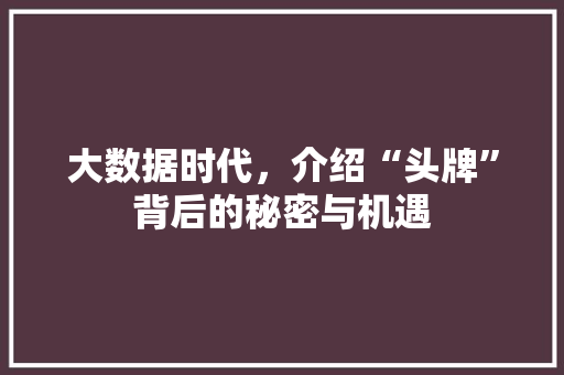 大数据时代，介绍“头牌”背后的秘密与机遇 神马SEO