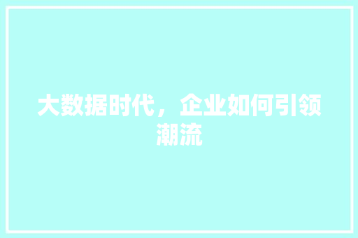 大数据时代，企业如何引领潮流 神马SEO