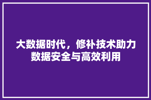 大数据时代，修补技术助力数据安全与高效利用