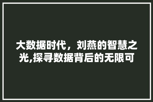 大数据时代，刘燕的智慧之光,探寻数据背后的无限可能