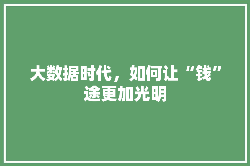 大数据时代，如何让“钱”途更加光明 神马SEO