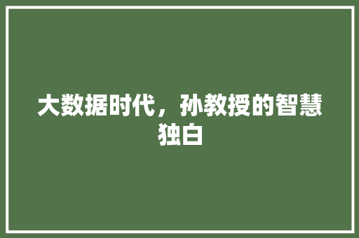 大数据时代，孙教授的智慧独白