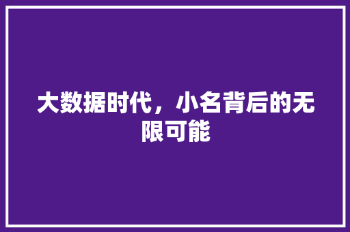 大数据时代，小名背后的无限可能 神马SEO